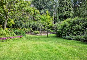 Optimiser l'expérience du jardin à Blaincourt-les-Precy